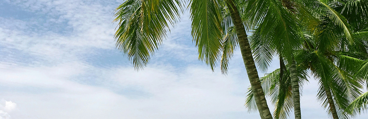 Hình nền thẻ khuyến mãi